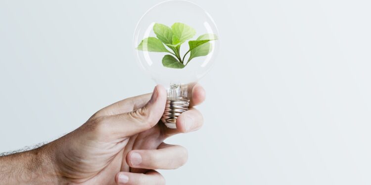 Sustainable energy campaign hand holding tree light bulb media remix