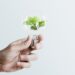 Sustainable energy campaign hand holding tree light bulb media remix