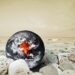 The Earth disaster. Global warming conceptual