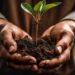 A person holding a small plant in their hands. Generative AI. Planting trees for green sustainable future.