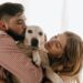 Romantic couple in good mood plays and hugs white dog. Man kisses his labrador against window