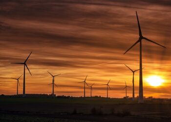 A silhouette of windmills on a field during sunset