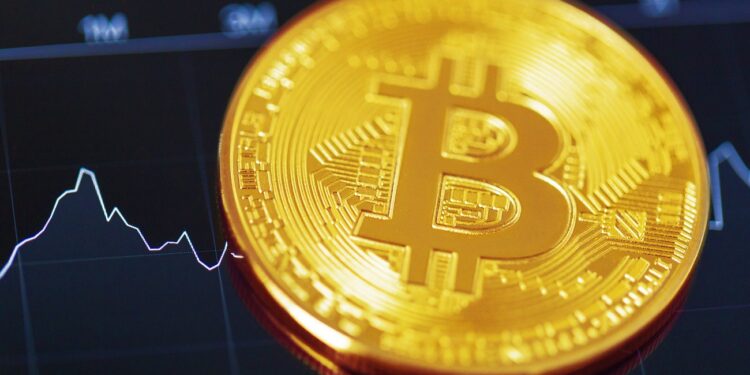 bitcoin crypto currency diagram