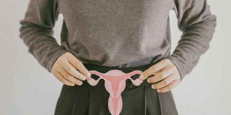 Hands holding uterus, female reproductive system , woman health, PCOS, gynecologic and cervix cancer concept