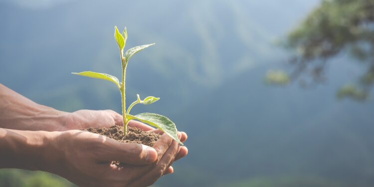 Concept of environmental conservation in the garden for children.