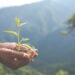Concept of environmental conservation in the garden for children.