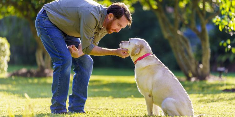 Companion Animal HomeAgain Dog With Owner3