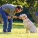 Companion Animal HomeAgain Dog With Owner3