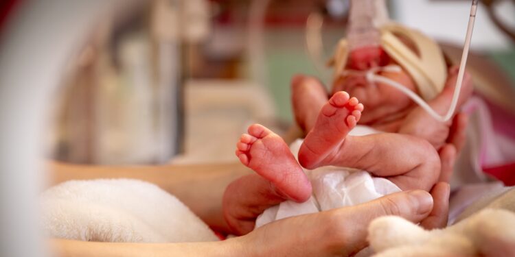 A Closeup of a hand of a premature newborn baby in incubator
