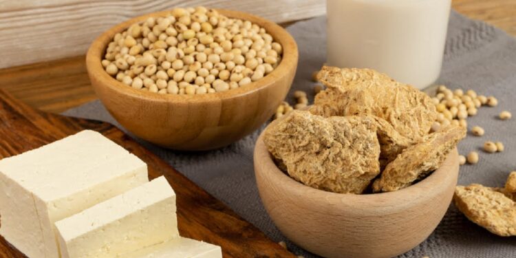 Soy food collection with dry soy meat, soybeans, soy milk and tofu on rustic background. Soy products mix