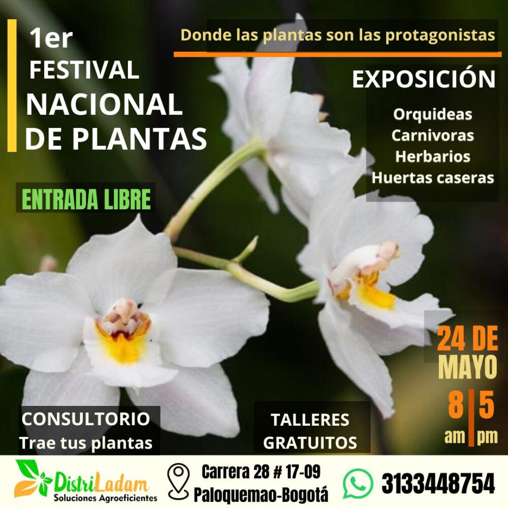 Bogotá florece con el Festival Nacional de Plantas 2025