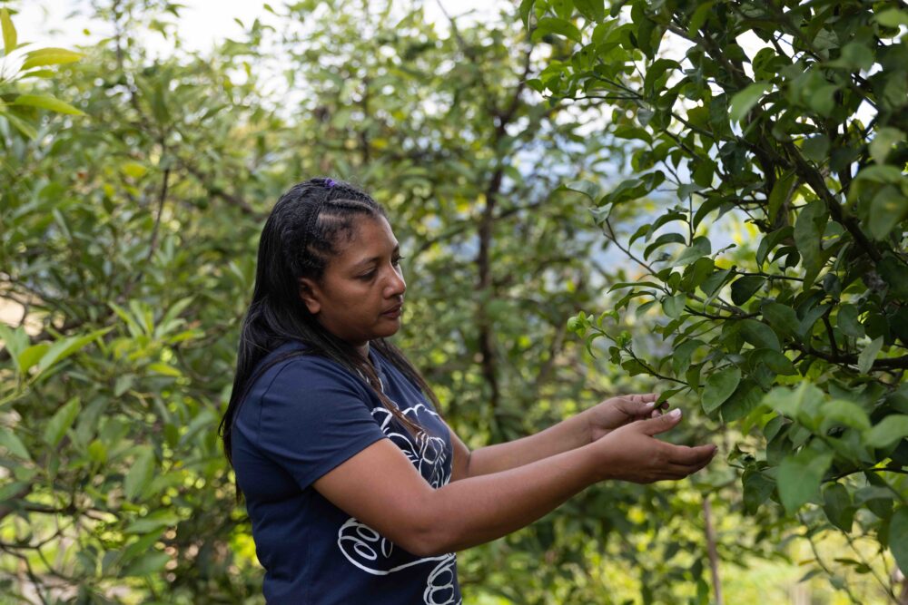 Mujeres rurales lideran la transformación del campo colombiano