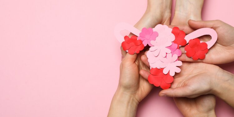 Women's health and women's healthcare concept with uterus