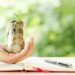 Woman hand holding plant growing from coins bottle in the on blurred green natural background