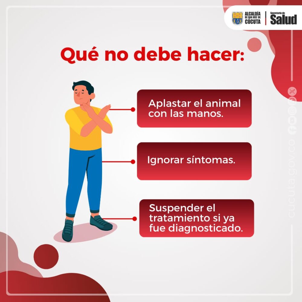 Enfermedad de Chagas