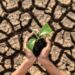 boy are stand holding seedlings are in dry land in a warming world.