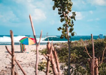 A beautiful shot of a beach with a colorful parasol and a beach chair with amazing waves on a sunny day