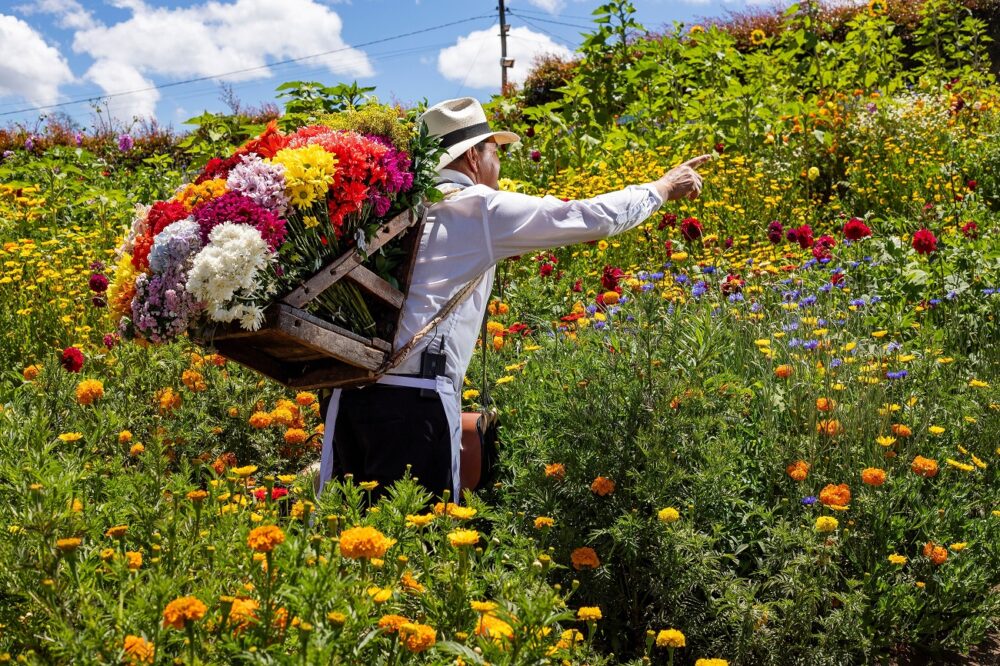 Feria de las Flores