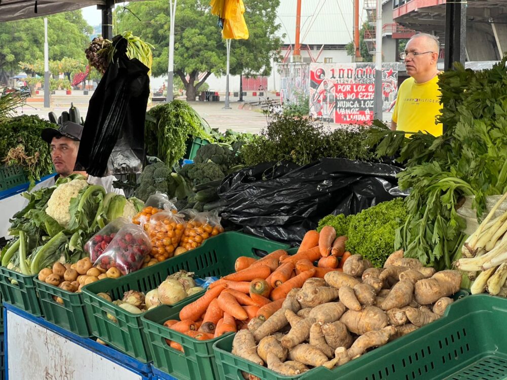 Mercado Campesino Departamental 