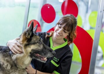 Canine dog vetclinic corporate 2017 3178 300dpi