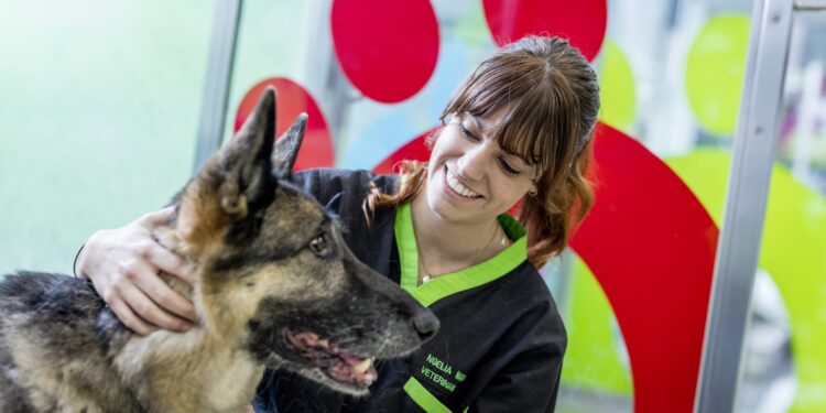 Canine dog vetclinic corporate 2017 3178 300dpi