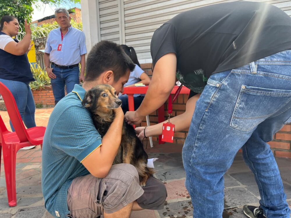 23 mil perros y gatos vacunados contra la rabia en Cúcuta durante 2025