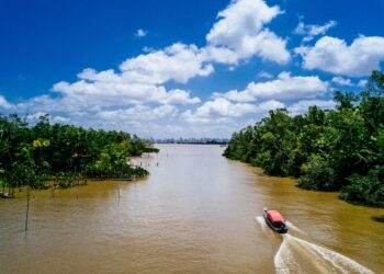 A wide angle shot of a boat riding on a river and passing through the trees
