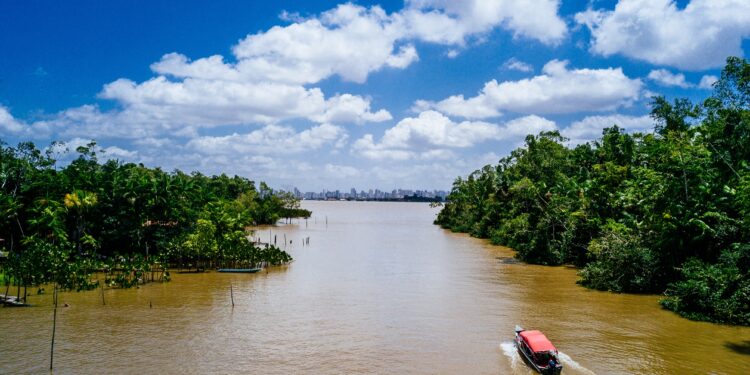A wide angle shot of a boat riding on a river and passing through the trees
