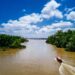 A wide angle shot of a boat riding on a river and passing through the trees