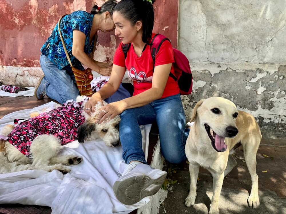 programa ‘Esterilizar salva vidas’