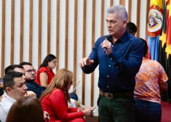 audiencia pública ids 14