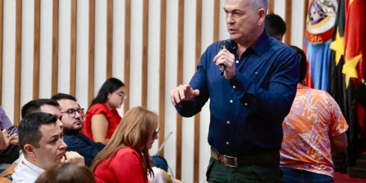 audiencia pública ids 14