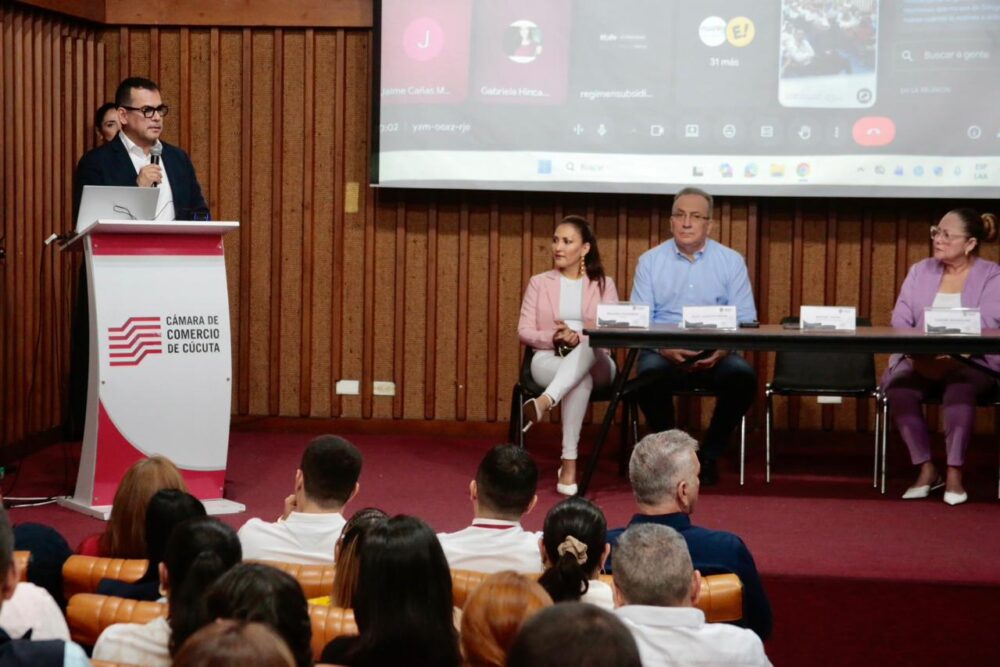 audiencia pública ids 2