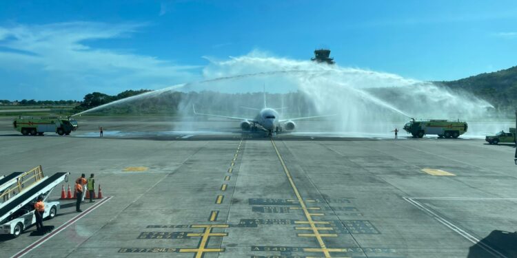 avión wingo (2)