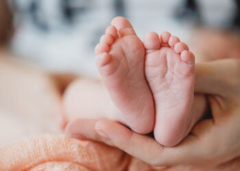 imagen de apoyo bebé prematuro