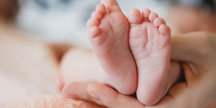imagen de apoyo bebé prematuro