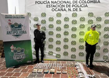 pol (6)