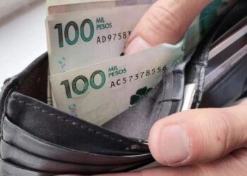 salario minimo 2024 diciembre