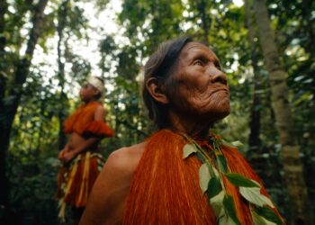amazonas