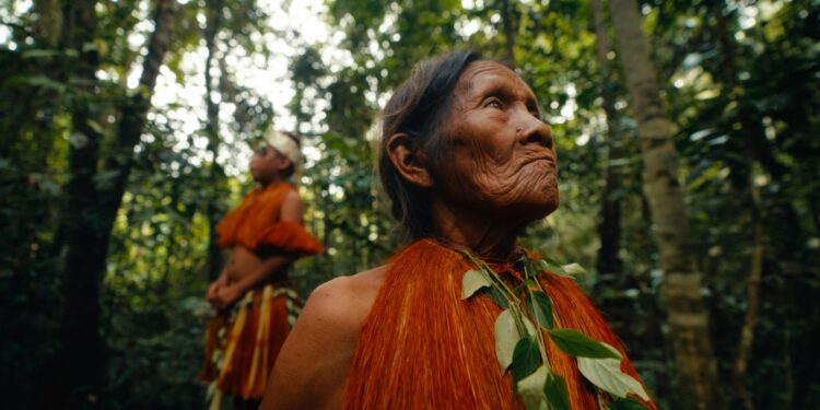 amazonas