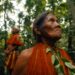 amazonas