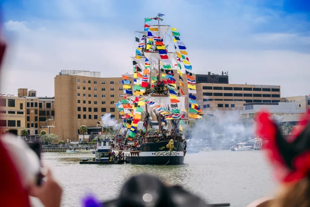tampa (3)