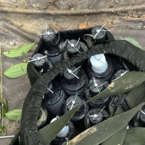 ejercito (2)