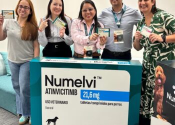 lanzamiento numelvi