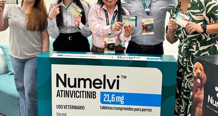 lanzamiento numelvi