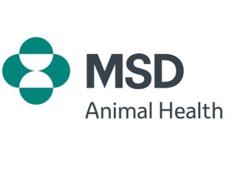 msd