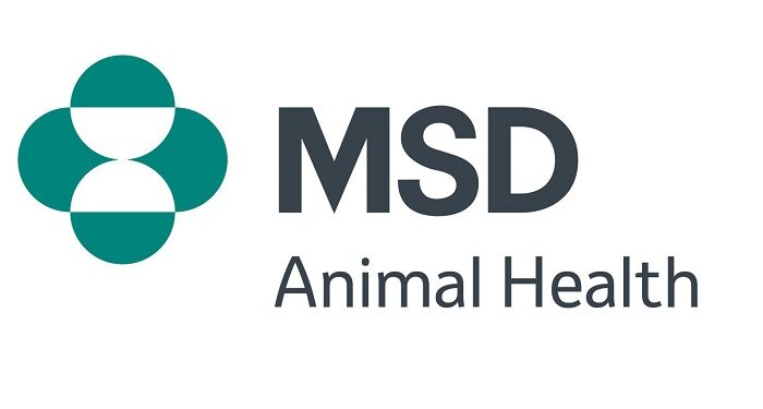msd