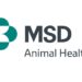 msd