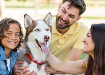 perro y familia