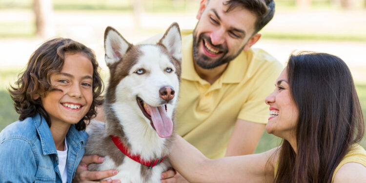 perro y familia